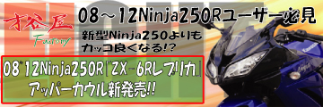 ˒Jt@Ng[ Ninja250R to ZX6R